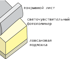book.prnfoto.1.gif book.prnfoto.1.gif